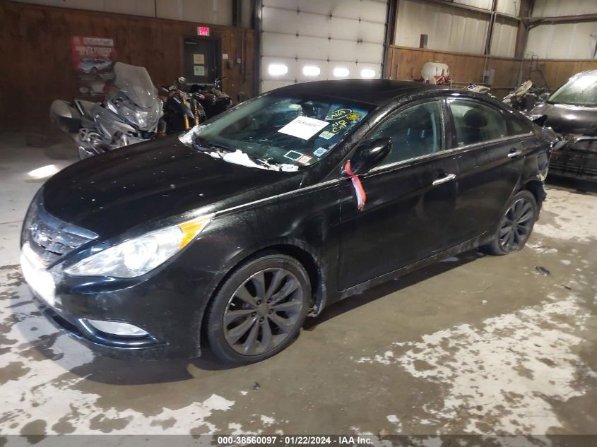 2013 HYUNDAI SONATA SE/LIMITED - 5NPEC4AC1DH704617