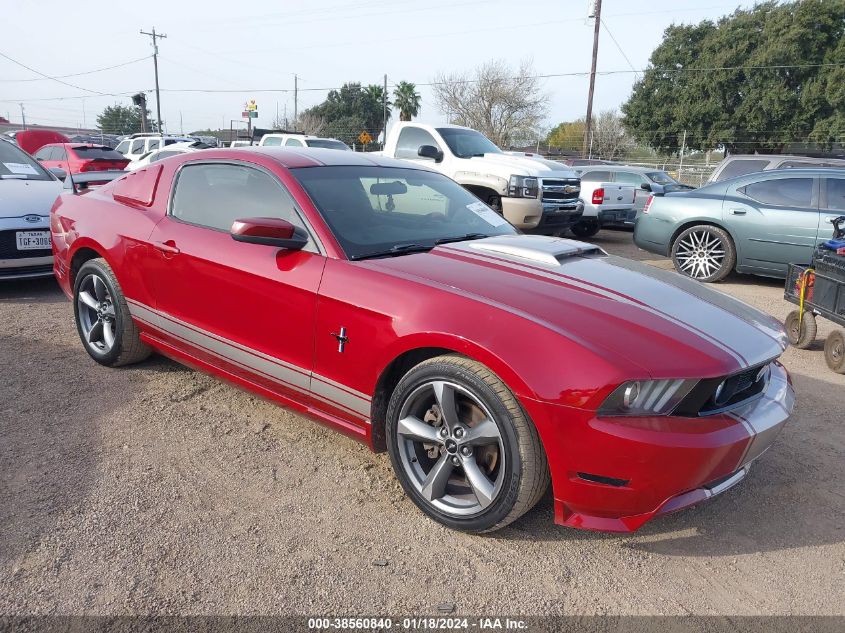 1ZVBP8AM7C5243281 | 2012 FORD MUSTANG