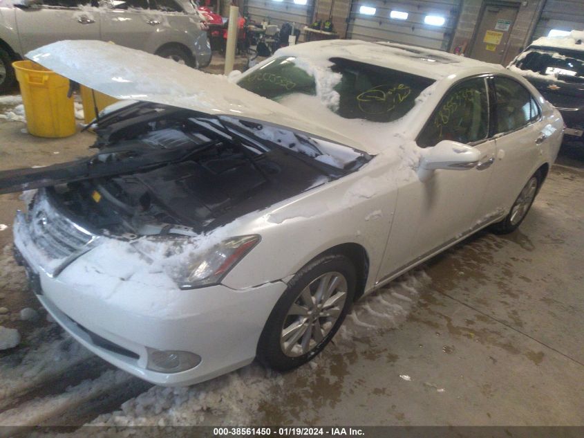 JTHBK1EG0A2403205 | 2010 LEXUS ES 350