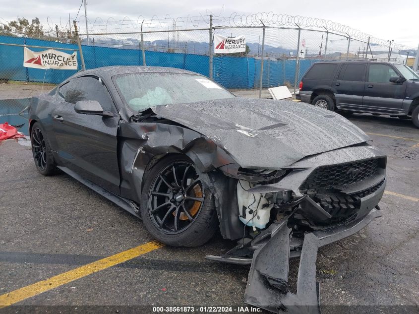 2019 FORD MUSTANG ECOBOOST - 1FA6P8TH7K5185889