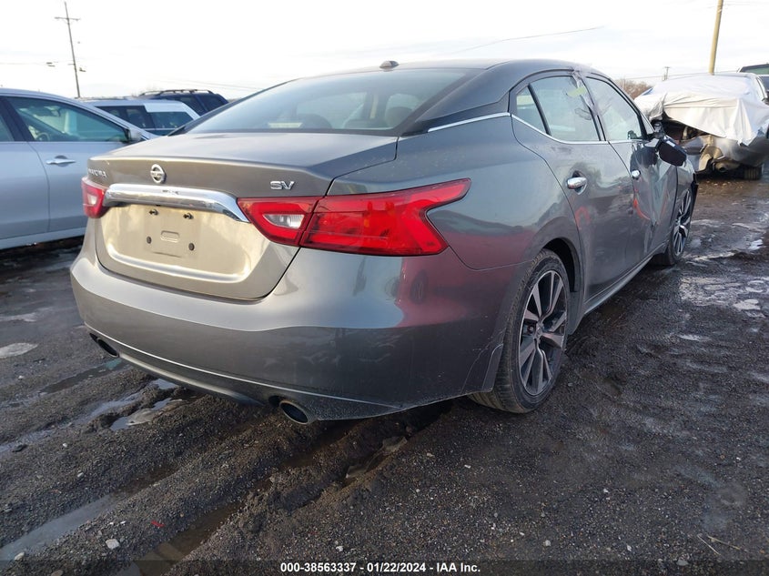 VIN 1N4AA6AP1HC411245 2017 NISSAN MAXIMA 3.5 SV
