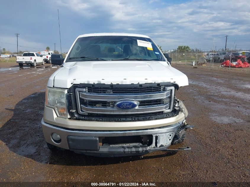2013 FORD F-150 XLT - 1FTEW1CM7DKG06382