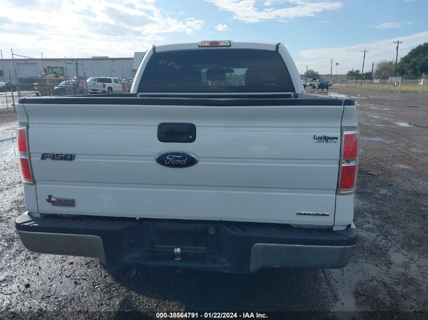 2013 FORD F-150 XLT - 1FTEW1CM7DKG06382