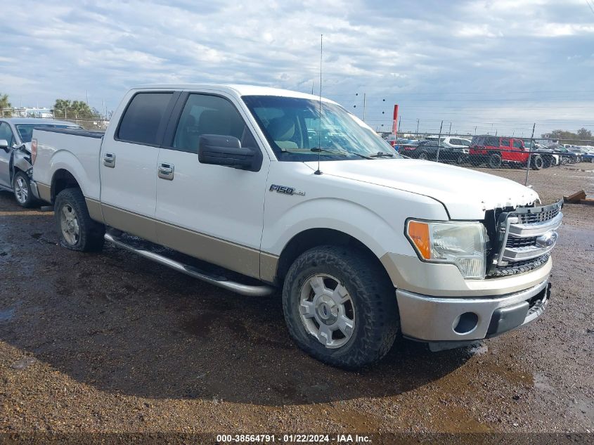 2013 FORD F-150 XLT - 1FTEW1CM7DKG06382