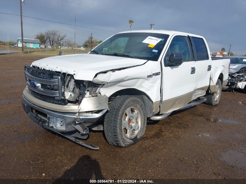 2013 FORD F-150 XLT - 1FTEW1CM7DKG06382