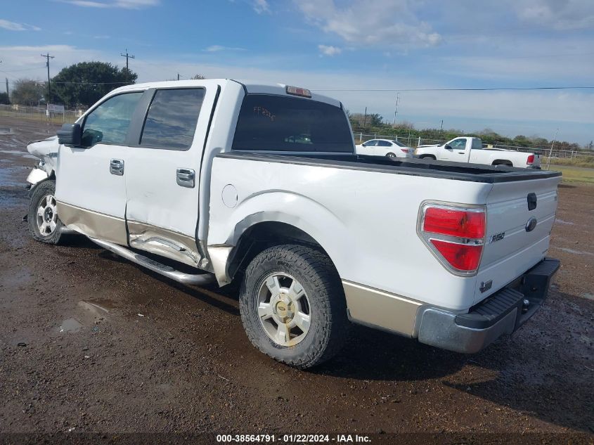 2013 FORD F-150 XLT - 1FTEW1CM7DKG06382