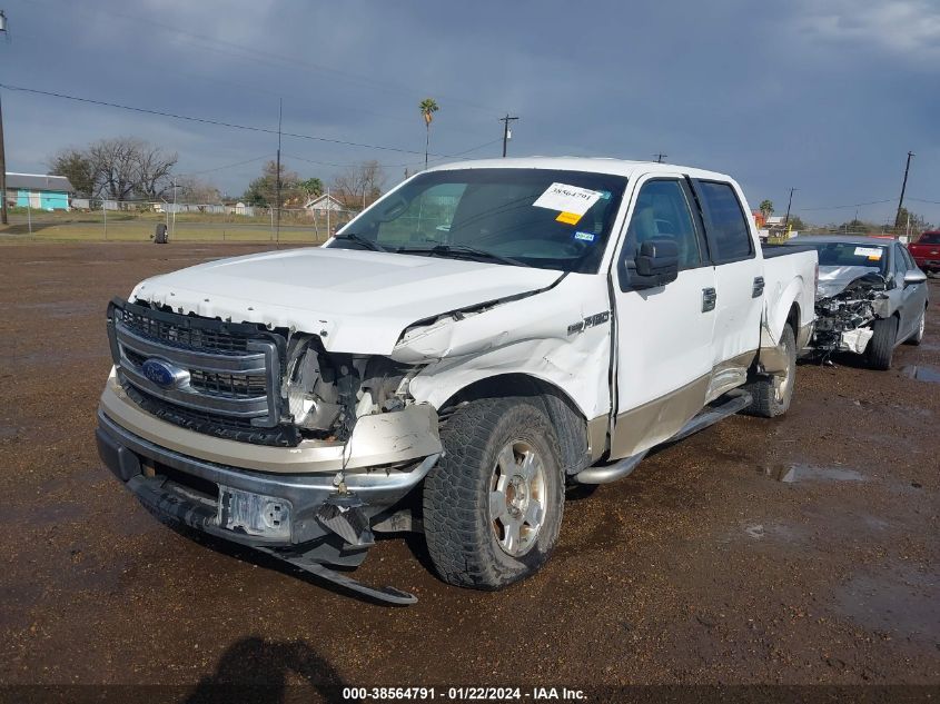2013 FORD F-150 XLT - 1FTEW1CM7DKG06382