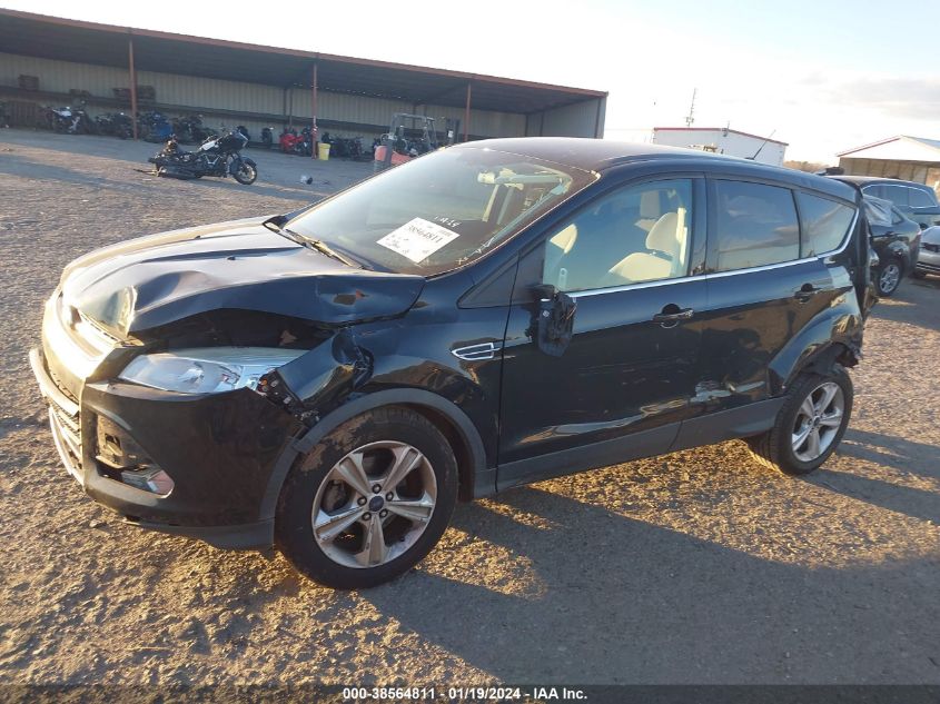 2014 FORD ESCAPE - 1FMCUOGX3EUD13804