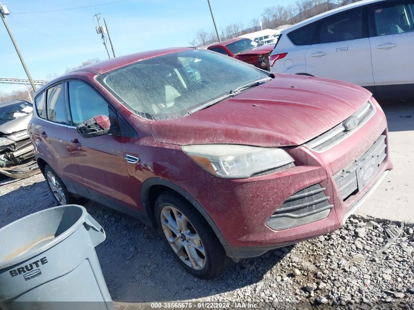 2013 FORD ESCAPE SEL - 1FMCU9H94DUD80737