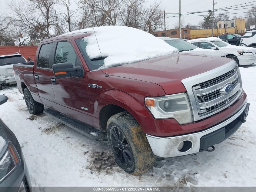 2014 FORD F-150 SUPERCREW - 1FTFW1ET6EKD42081