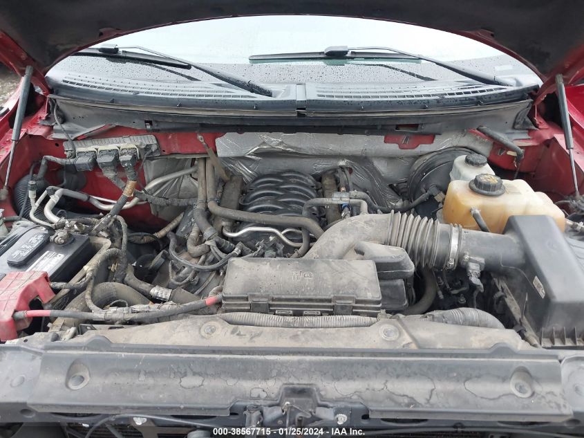 2013 FORD F-150 XLT - 1FTFW1CF6DFD62397