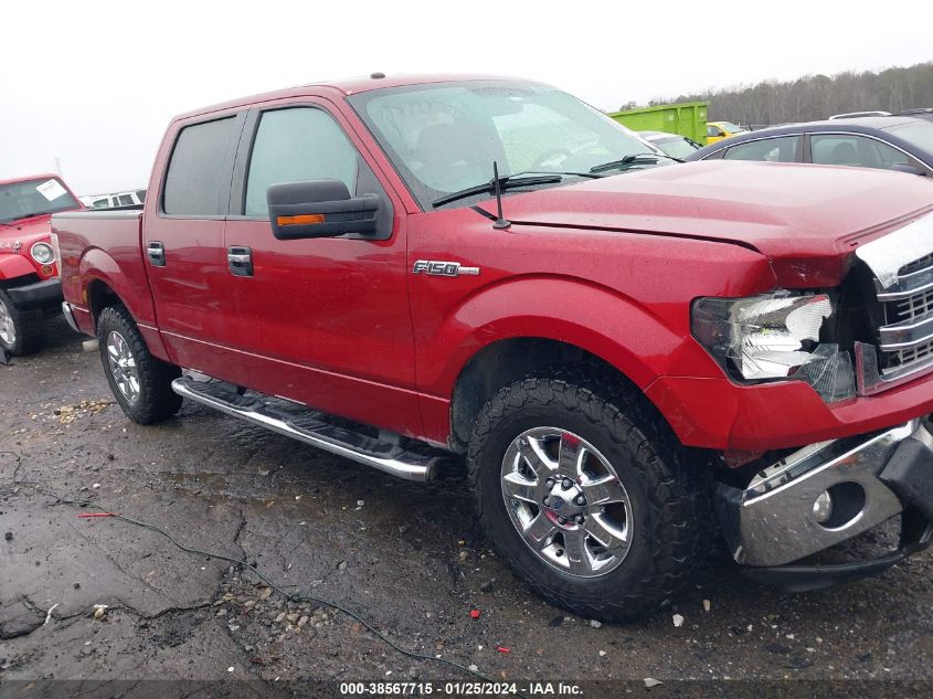 2013 FORD F-150 XLT - 1FTFW1CF6DFD62397