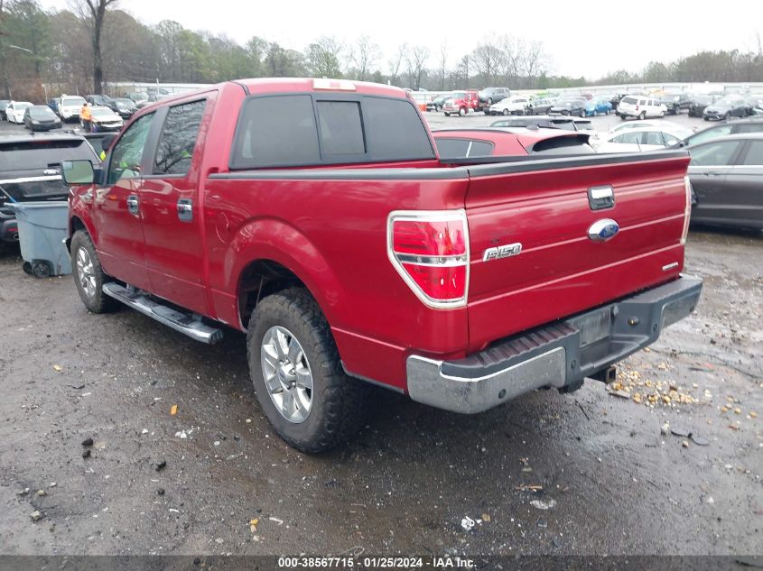 2013 FORD F-150 XLT - 1FTFW1CF6DFD62397