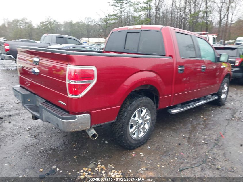 2013 FORD F-150 XLT - 1FTFW1CF6DFD62397
