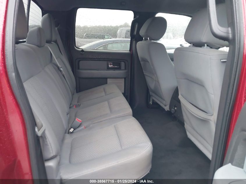 2013 FORD F-150 XLT - 1FTFW1CF6DFD62397