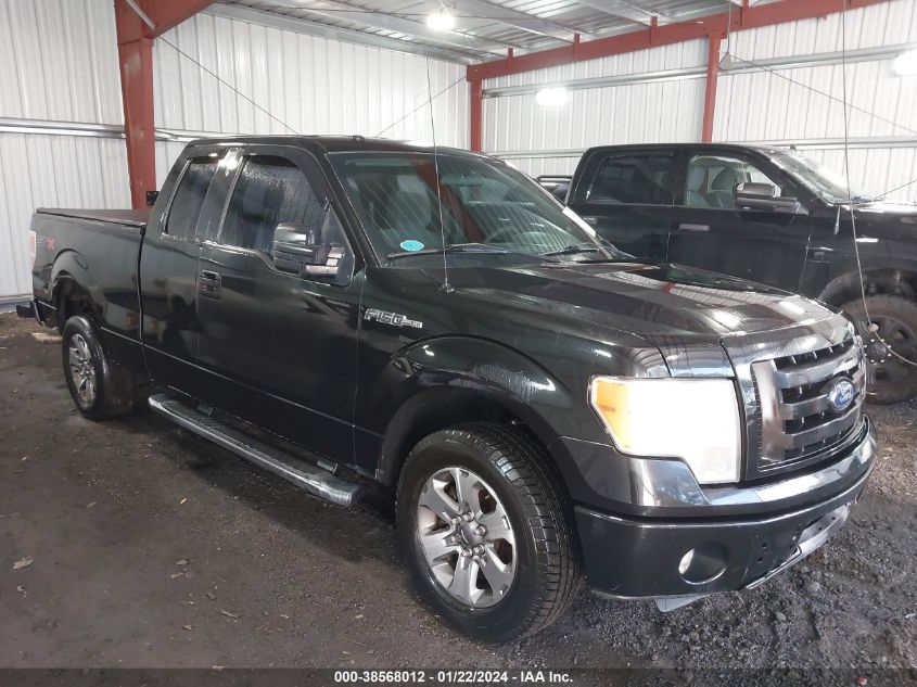 2013 FORD F-150 STX - 1FTFX1CF4DFC85686