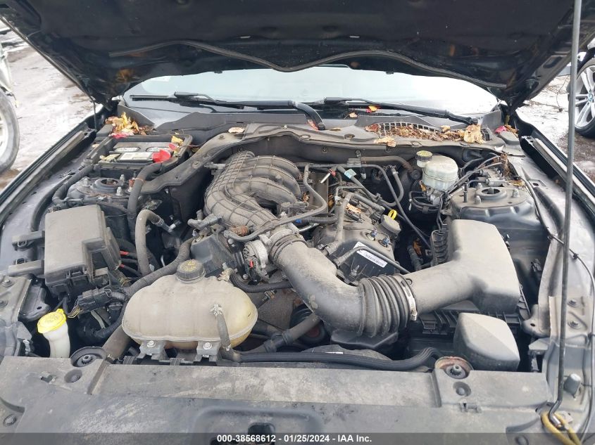 2016 FORD MUSTANG - 1FA6P8AM0G5200630