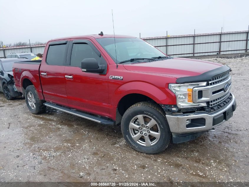 2019 FORD F-150 XLT - 1FTEW1EP4KKE44294