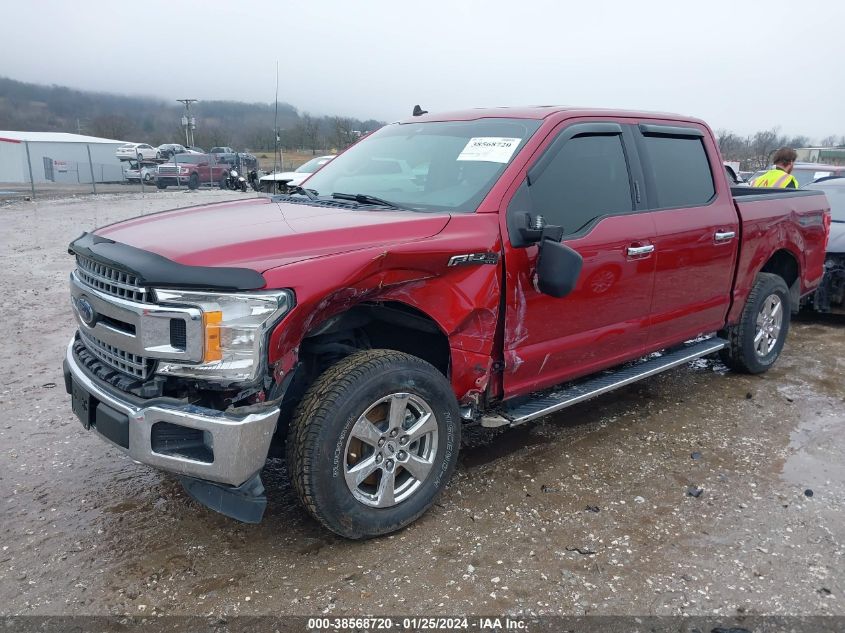 2019 FORD F-150 XLT - 1FTEW1EP4KKE44294