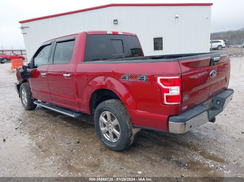 2019 FORD F-150 XLT - 1FTEW1EP4KKE44294