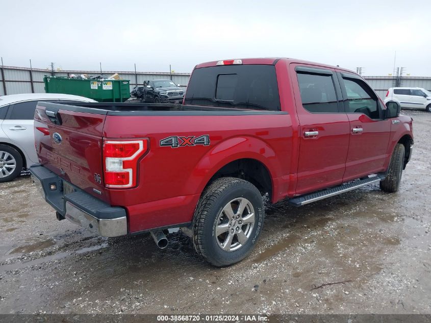 2019 FORD F-150 XLT - 1FTEW1EP4KKE44294