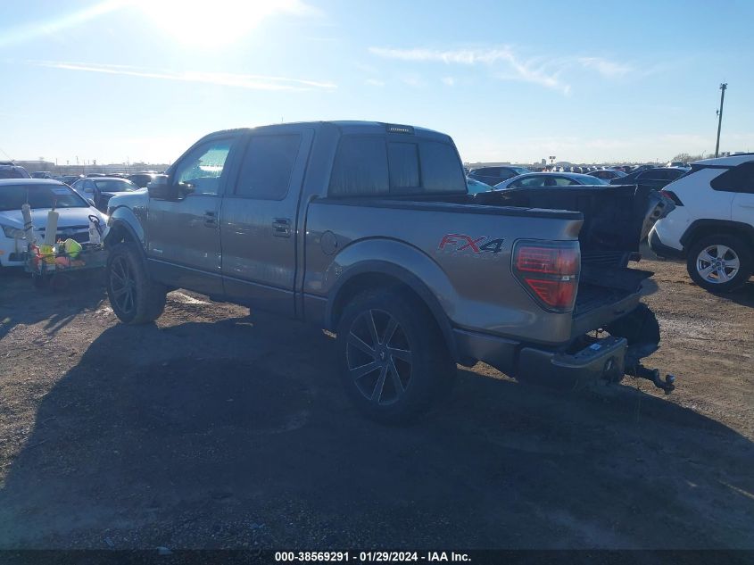 2013 FORD F-150 FX4 - 1FTFW1ET4DFA42837