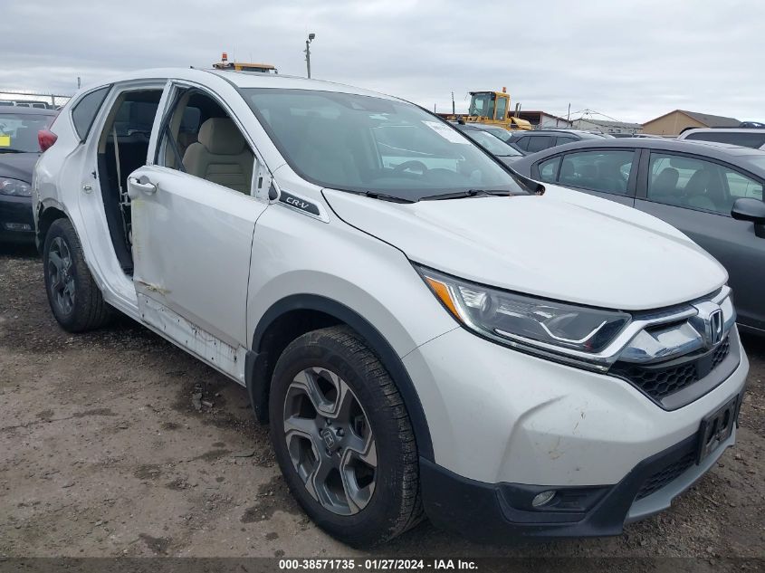 2019 HONDA CR-V EX - 2HKRW1H58KH514261