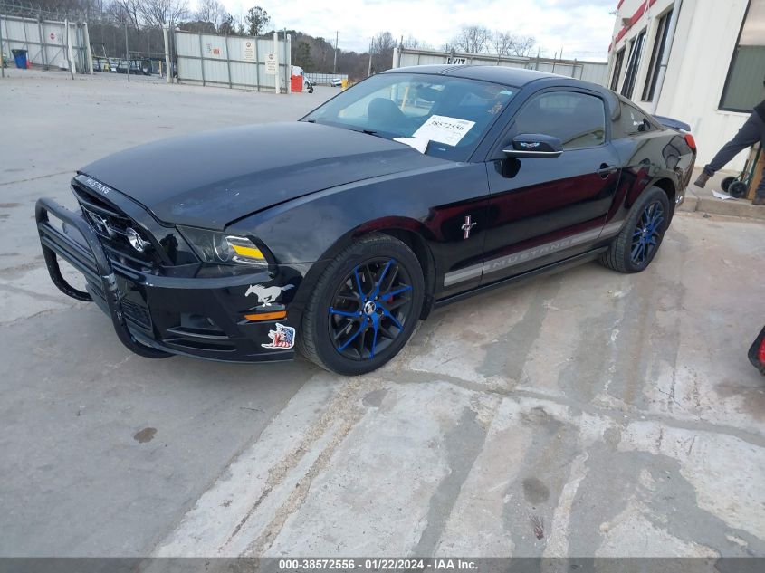 2013 FORD MUSTANG V6 PREMIUM - 1ZVBP8AM9D5220294