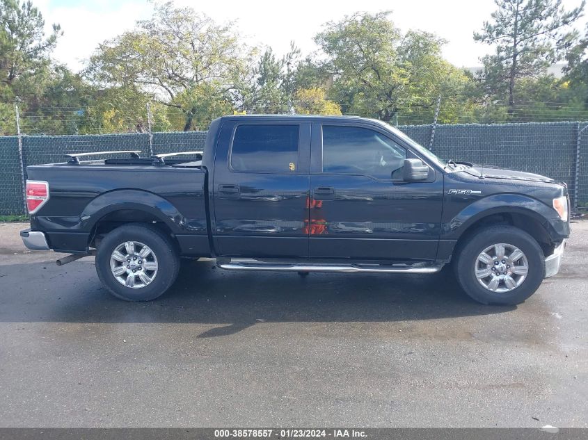 2014 FORD F-150 XLT - 1FTEW1CM8EFA45331