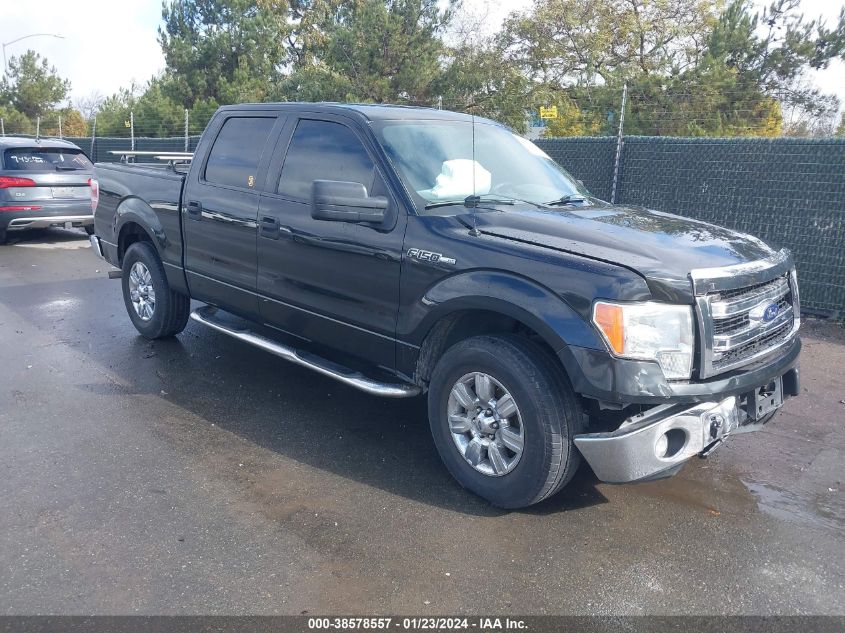 2014 FORD F-150 XLT - 1FTEW1CM8EFA45331