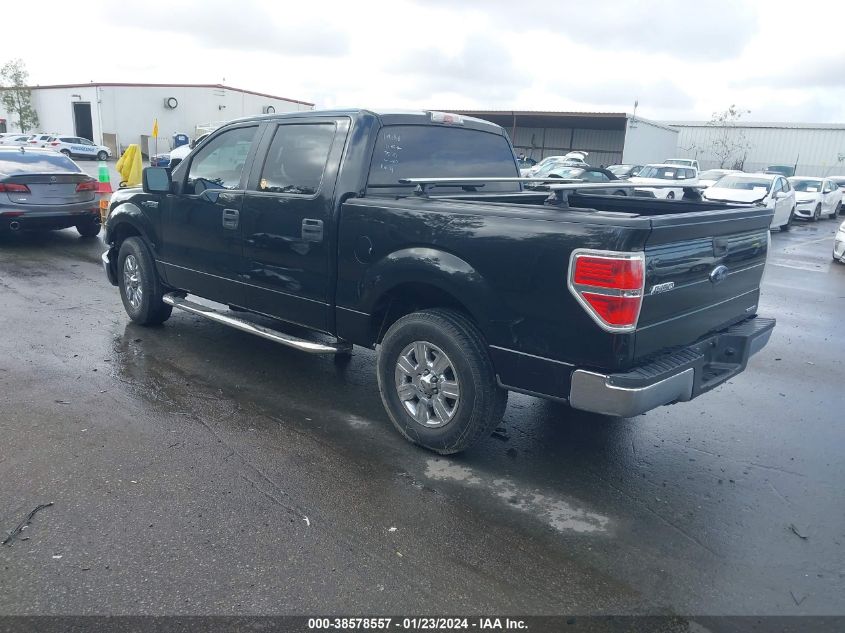 2014 FORD F-150 XLT - 1FTEW1CM8EFA45331