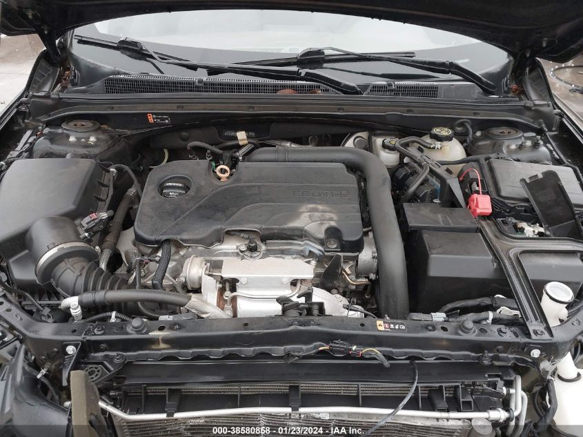 2019 CHEVROLET MALIBU 1LS - 1G1ZB5STXKF185799