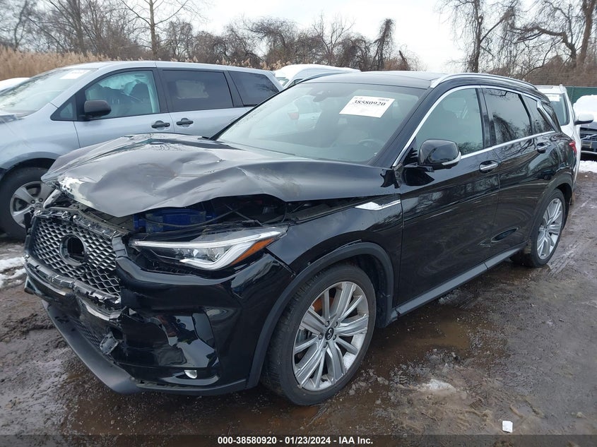 VIN 3PCAJ5CA8MF100602 2021 INFINITI QX50 SENSORY