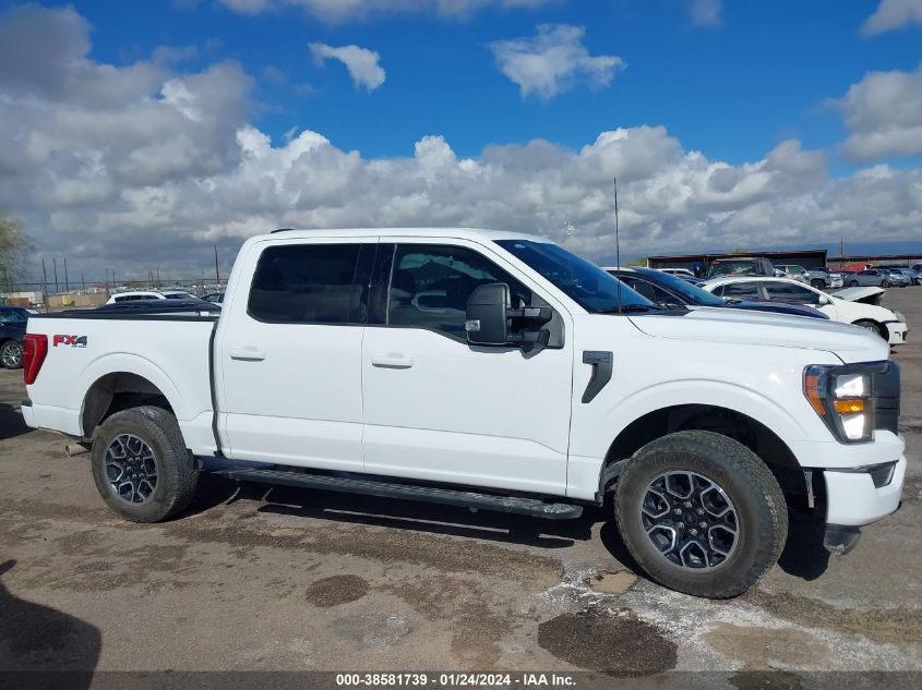 2023 FORD F-150 XLT - 1FTFW1E8XPKE11899