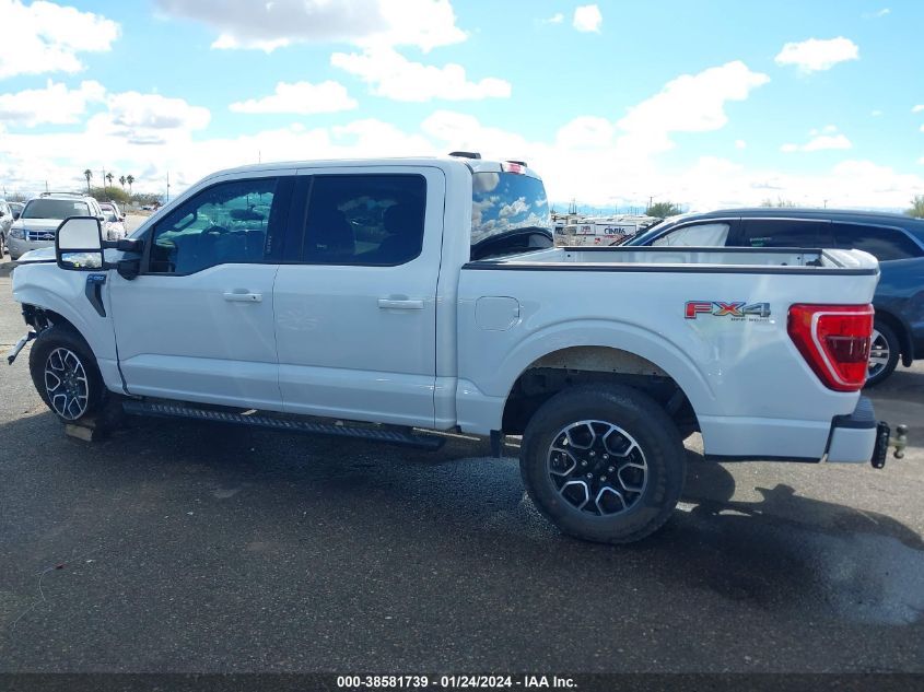 2023 FORD F-150 XLT - 1FTFW1E8XPKE11899