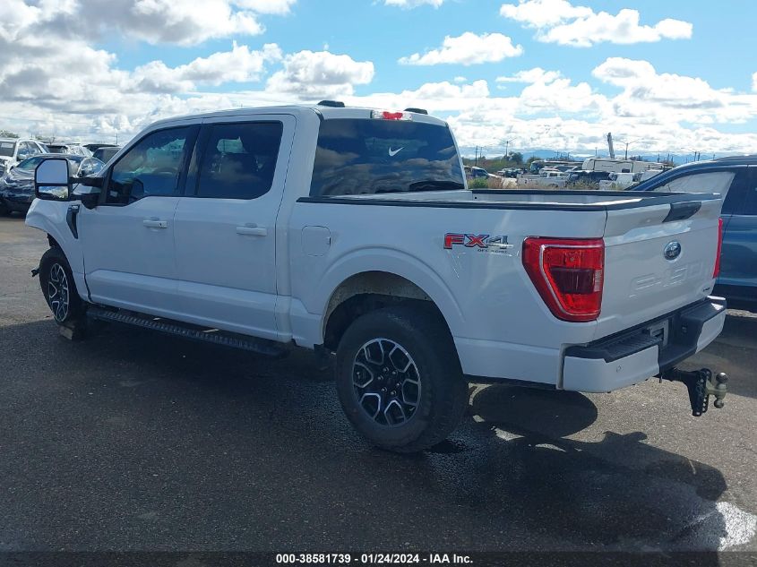 2023 FORD F-150 XLT - 1FTFW1E8XPKE11899