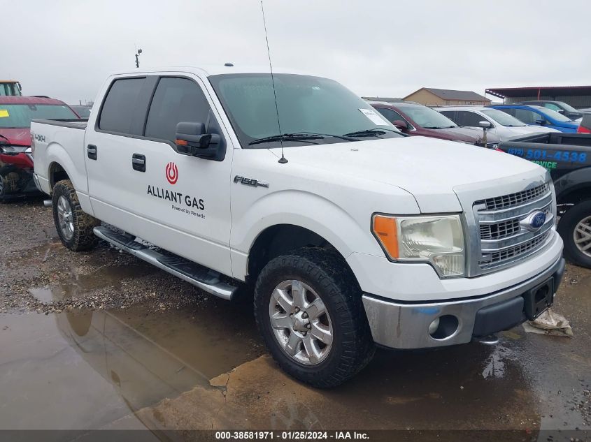 2013 FORD F-150 XLT - 1FTFW1EF6DKD87983