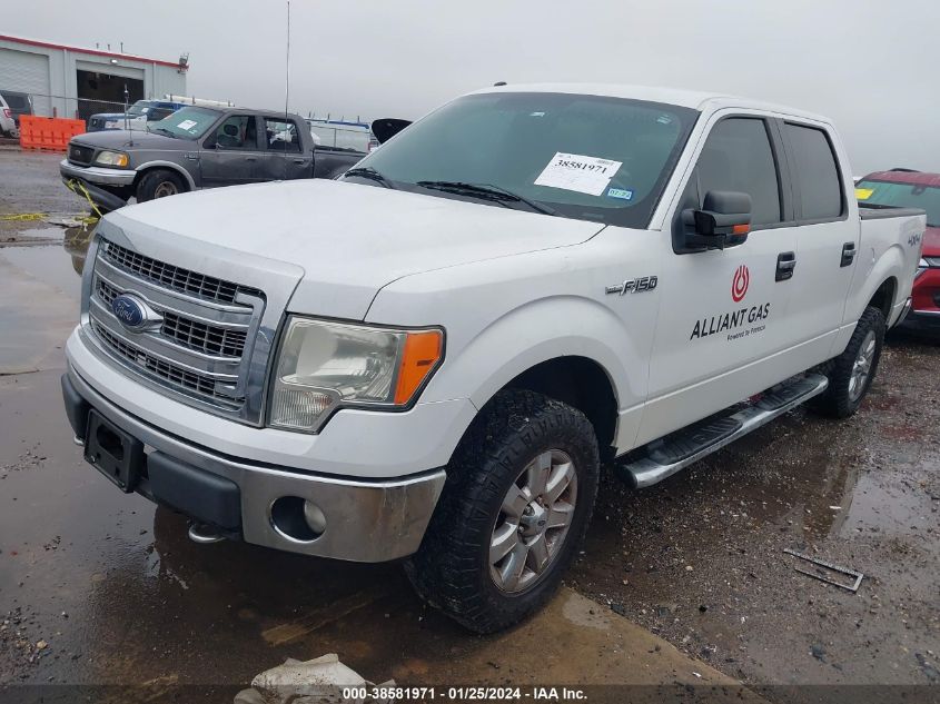 2013 FORD F-150 XLT - 1FTFW1EF6DKD87983