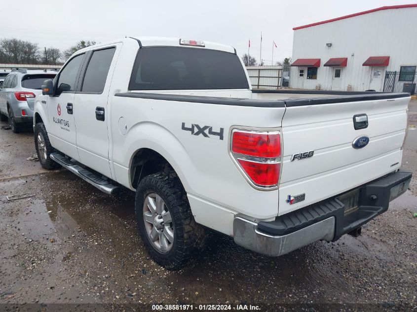 2013 FORD F-150 XLT - 1FTFW1EF6DKD87983