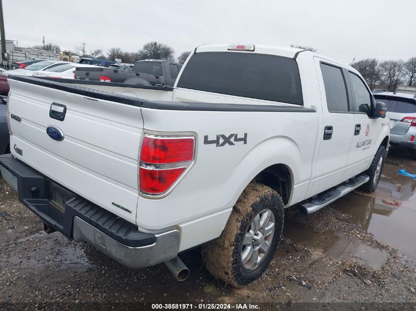 2013 FORD F-150 XLT - 1FTFW1EF6DKD87983
