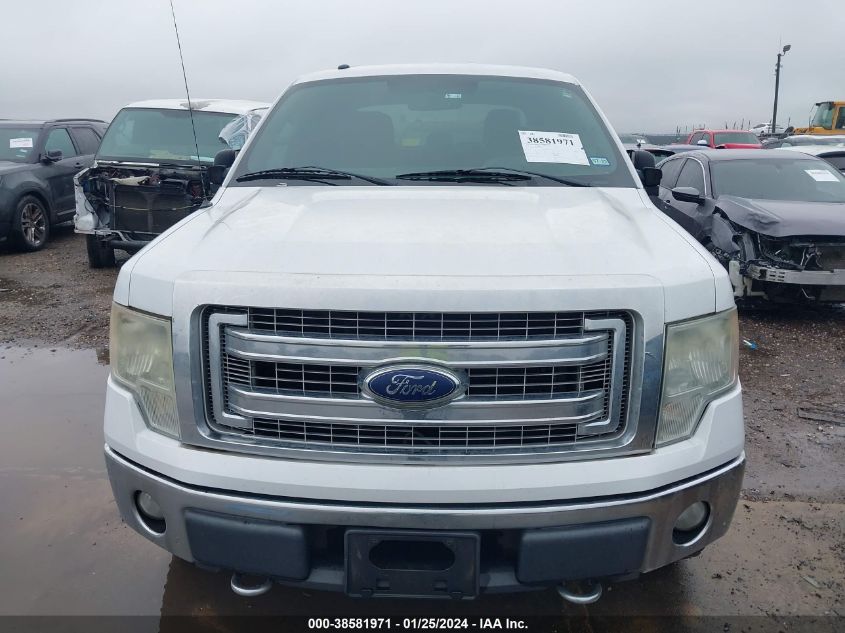 2013 FORD F-150 XLT - 1FTFW1EF6DKD87983