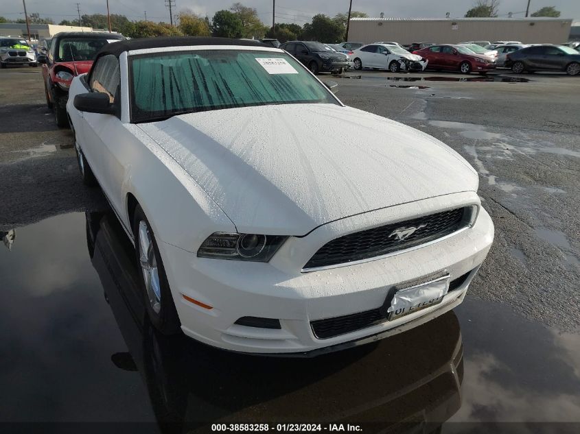 2014 FORD MUSTANG V6 - 1ZVBP8EMXE5328662