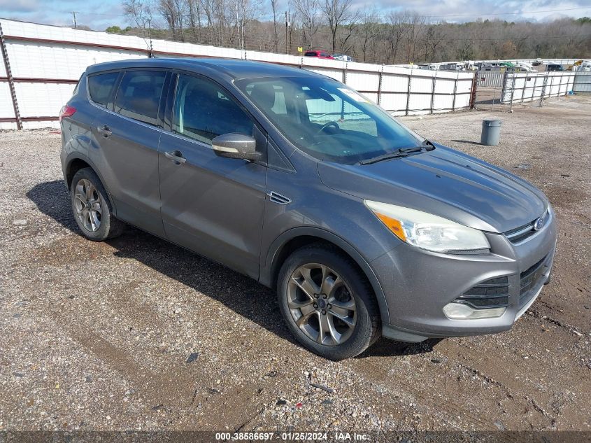 2013 FORD ESCAPE SEL - 1FMCU0H98DUA18180