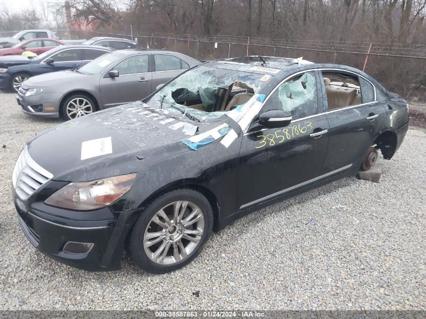 KMHGC46F79U062506 | 2009 HYUNDAI GENESIS