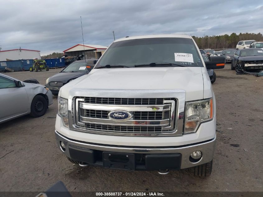 2013 FORD F-150 XLT - 1FTFW1EF8DKF68339