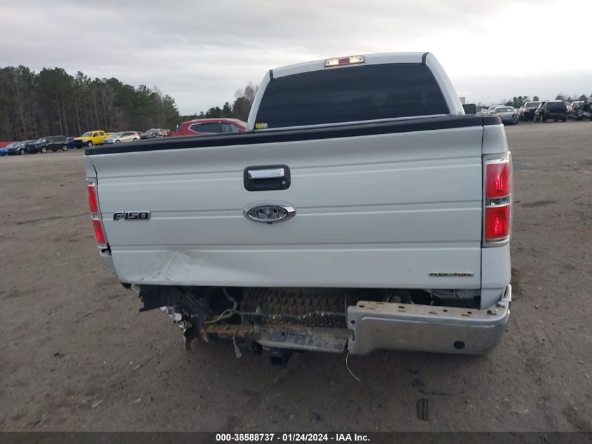 2013 FORD F-150 XLT - 1FTFW1EF8DKF68339