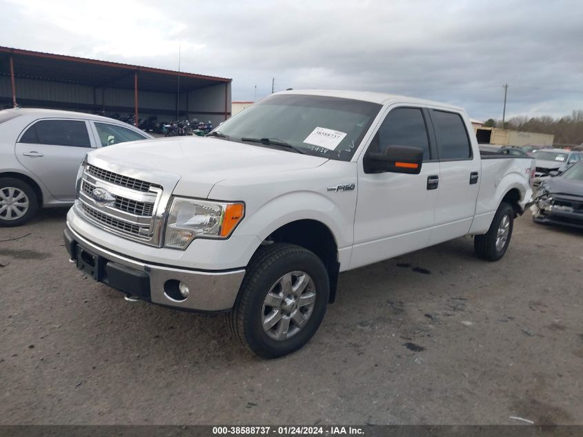 2013 FORD F-150 XLT - 1FTFW1EF8DKF68339