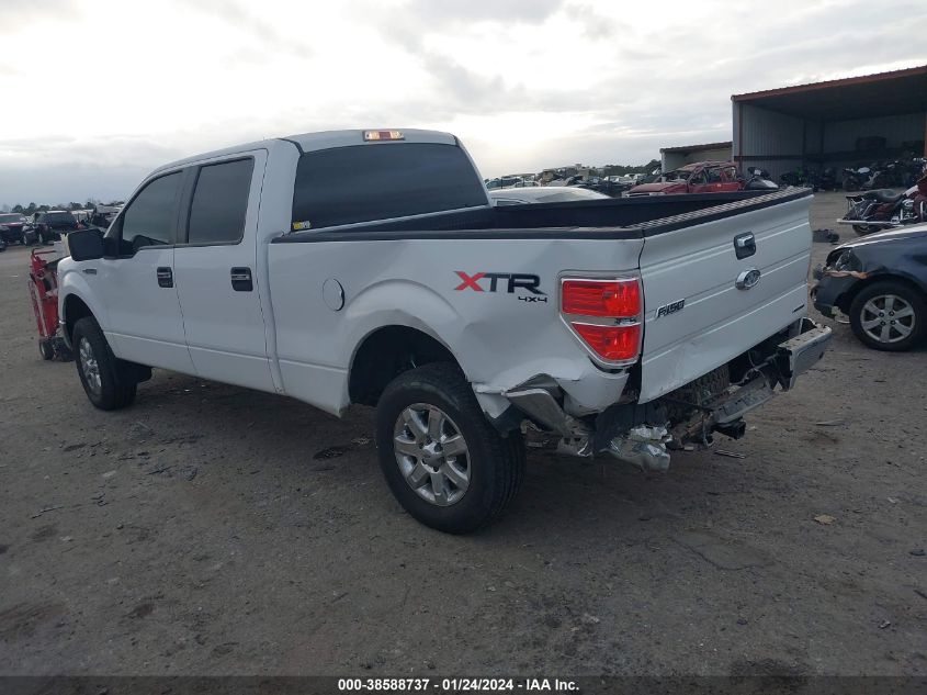 2013 FORD F-150 XLT - 1FTFW1EF8DKF68339