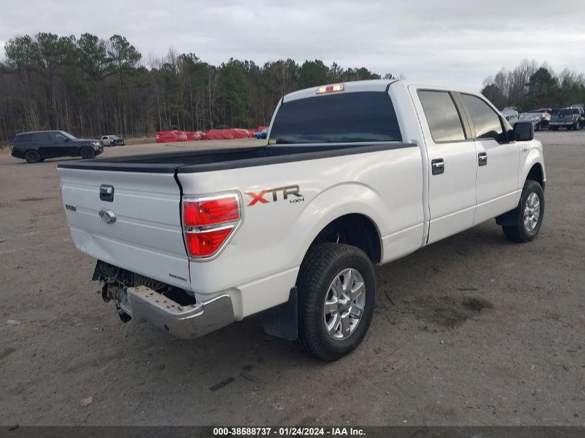 2013 FORD F-150 XLT - 1FTFW1EF8DKF68339
