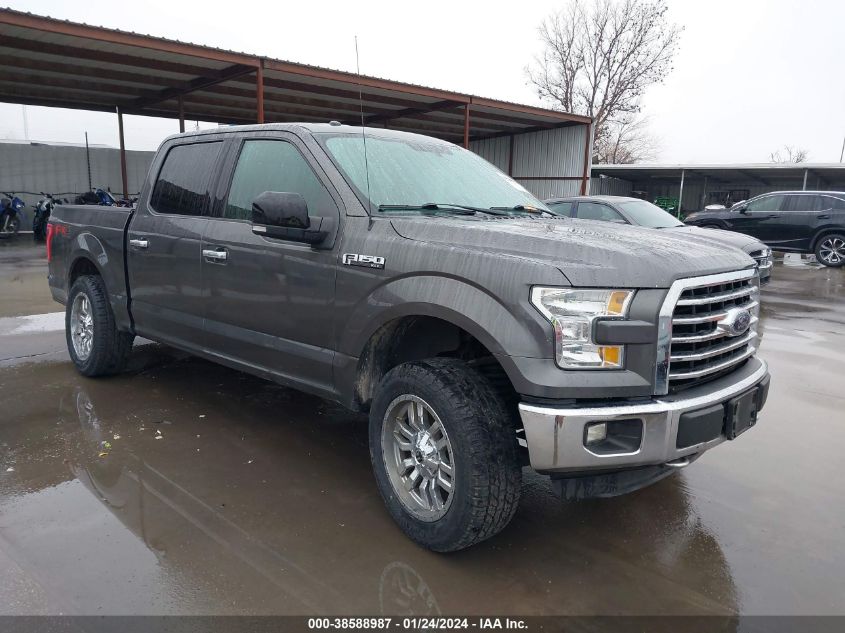 2015 FORD F-150 XLT - 1FTEW1EF9FKE59449